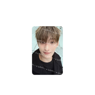 Serenade WEVERSE