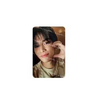 Face the Sun CARAT Ver.