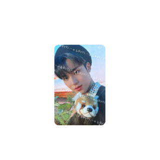 DICON D'FESTA MINI EDITION : SEVENTEEN