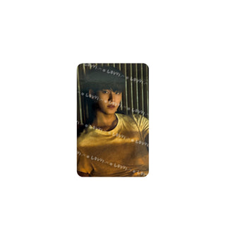 Bittersweet Trading Card Set