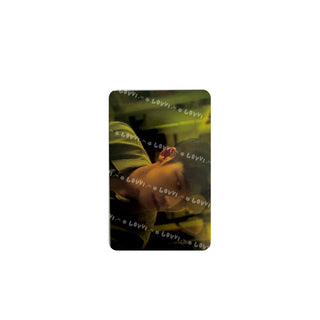 Bittersweet Trading Card Set