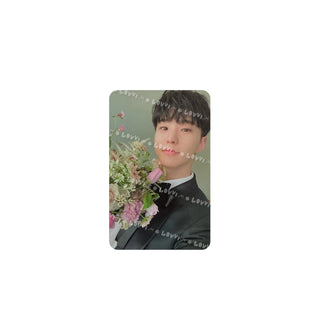 HOSHI-SEVENTEEN FML CARAT Ver