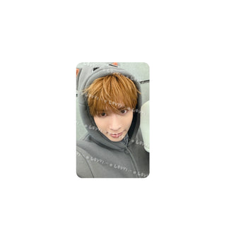 7TH YEAR: A Moment of Stillness in the Thorns PPULBATU Ver. Weverse Albums ver.